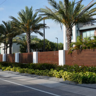 Modern house with tall palm trees, a wooden fence, and neatly trimmed shrubs along a sidewalk on a sunny day.