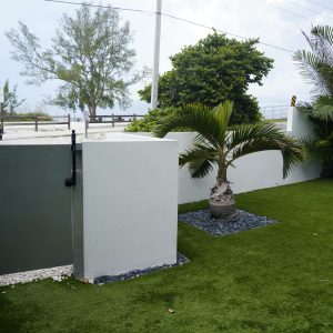 A small yard with artificial grass, a potted palm, white wall, green gate, and a blue car parked outside.