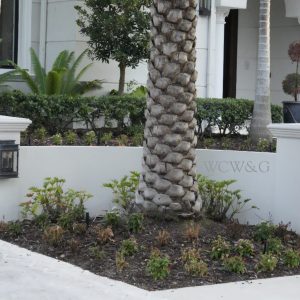 A palm tree stands in front of a white wall with “WCW&G” engraved, near a manicured garden and a lantern.