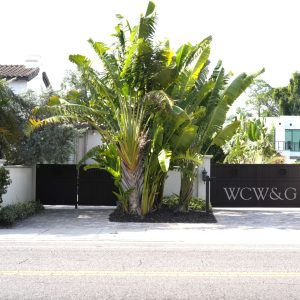 Gated driveway with large palm trees and “WCW&G” initials on the gate, bordered by white walls and greenery.