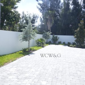 Paved driveway with young trees and bushes along a white wall, bordered by green grass and tall trees.