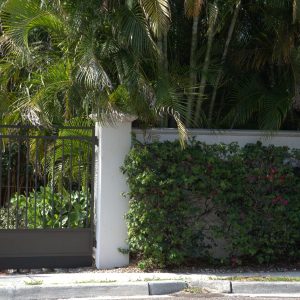 Black metal gate and white wall with green plants and shrubs behind, next to a sidewalk curb.