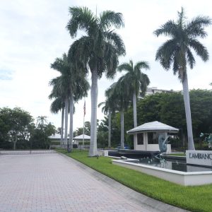 Palm trees line a paved driveway near a fountain with a “L’Ambiance” sign and landscaped greenery.